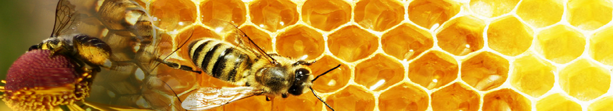 Včelárske potreby