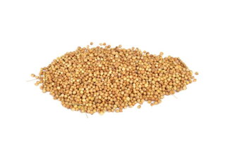Semienka koriandra 100 g